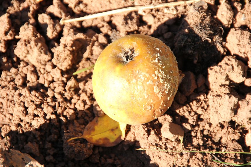 Der Herbst k&uuml;ndigt sich an
