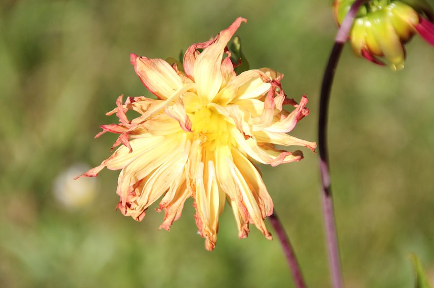 Der Herbst k&uuml;ndigt sich an