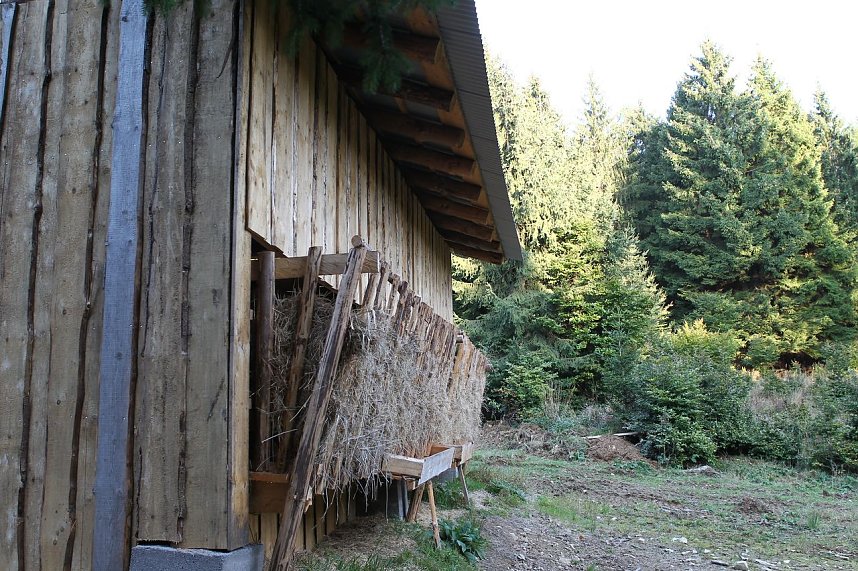 Erst f&uuml;ttern, dann abschie&szlig;en?