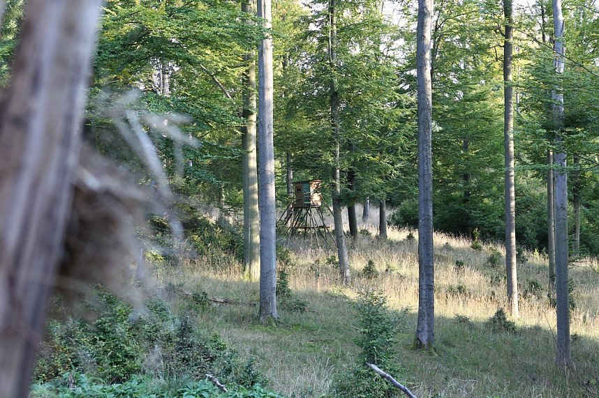 Erst f&uuml;ttern, dann abschie&szlig;en?