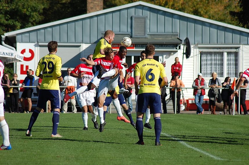 Verdienter Sieg in Halle 