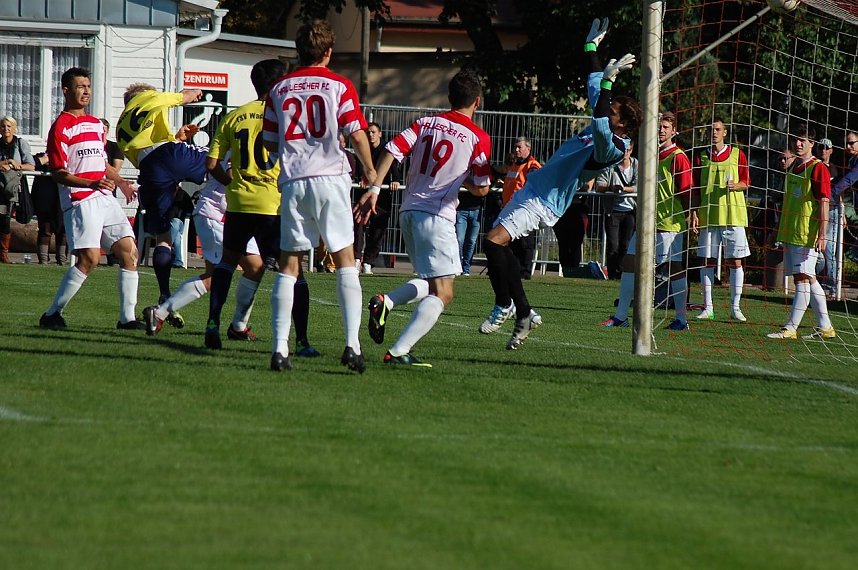 Verdienter Sieg in Halle 