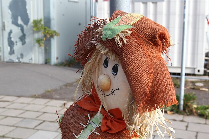 K&uuml;rbis- und Zwiebelmarkt