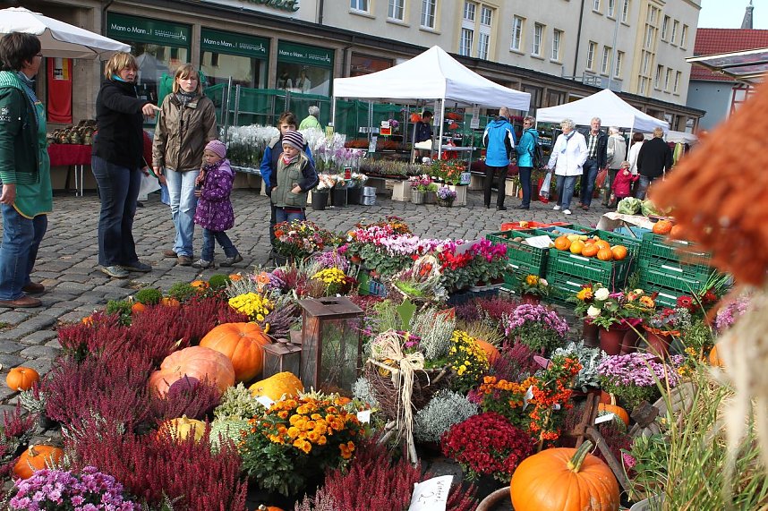 K&uuml;rbis- und Zwiebelmarkt