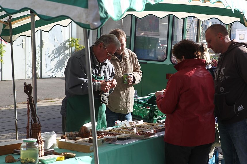 K&uuml;rbis- und Zwiebelmarkt