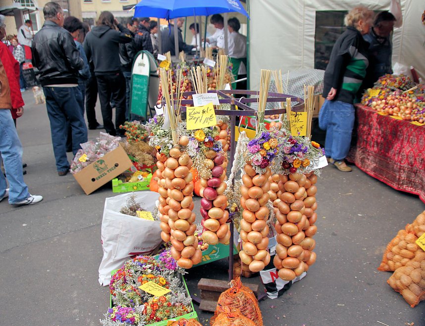 Besuch auf dem Zwiebelmarkt