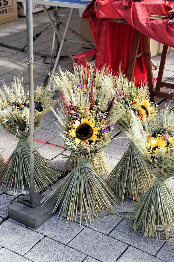 Besuch auf dem Zwiebelmarkt
