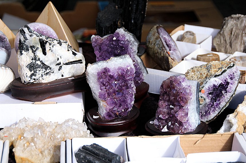 Besuch auf dem Zwiebelmarkt