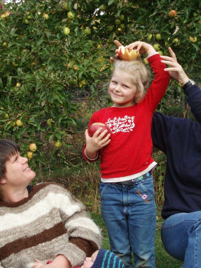 Mus aus &Auml;pfeln kochen