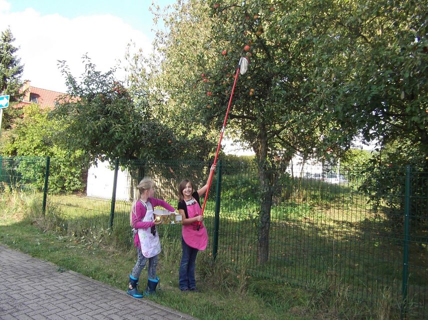 Von der Hand in den Mund