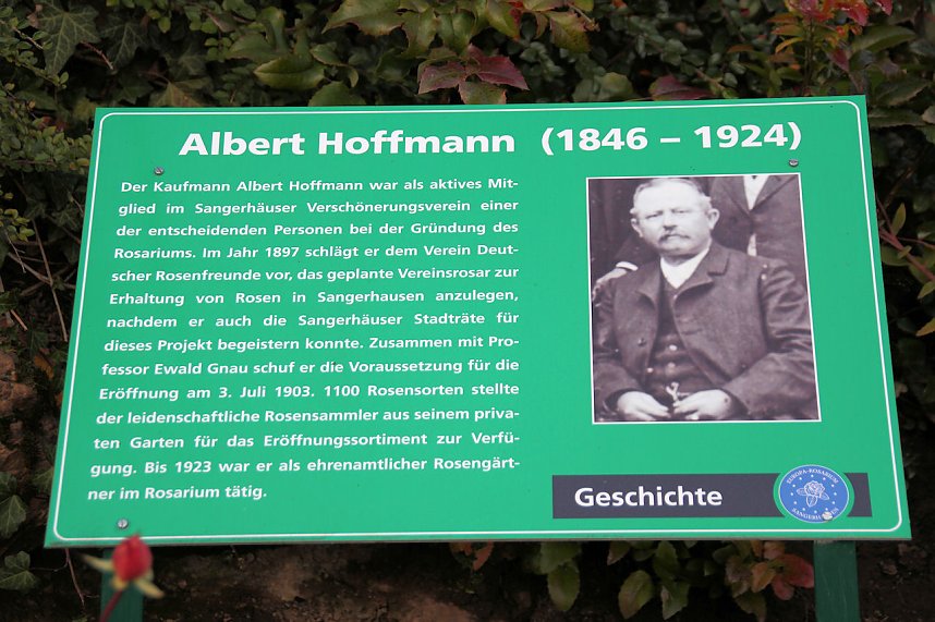 Rosen &uuml;ber Rosen