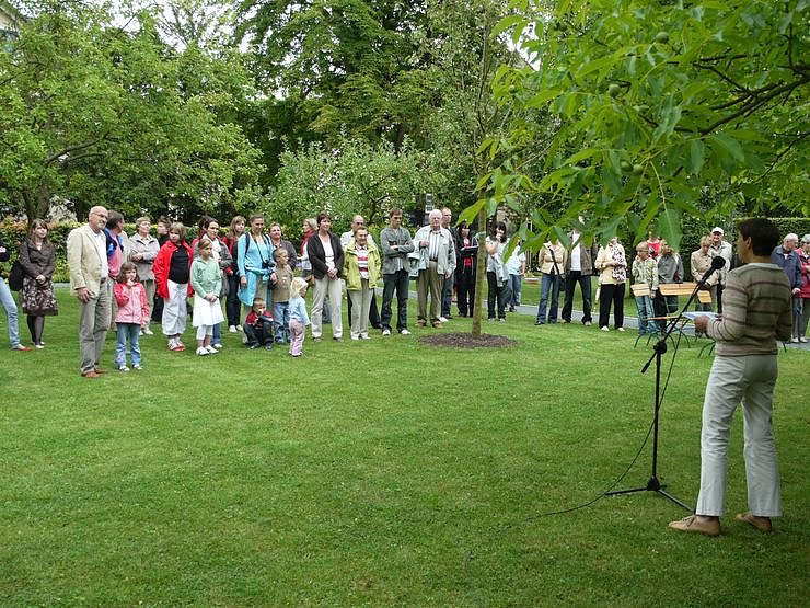 Mascuma im Nordh&auml;user Meyenburg-Park
