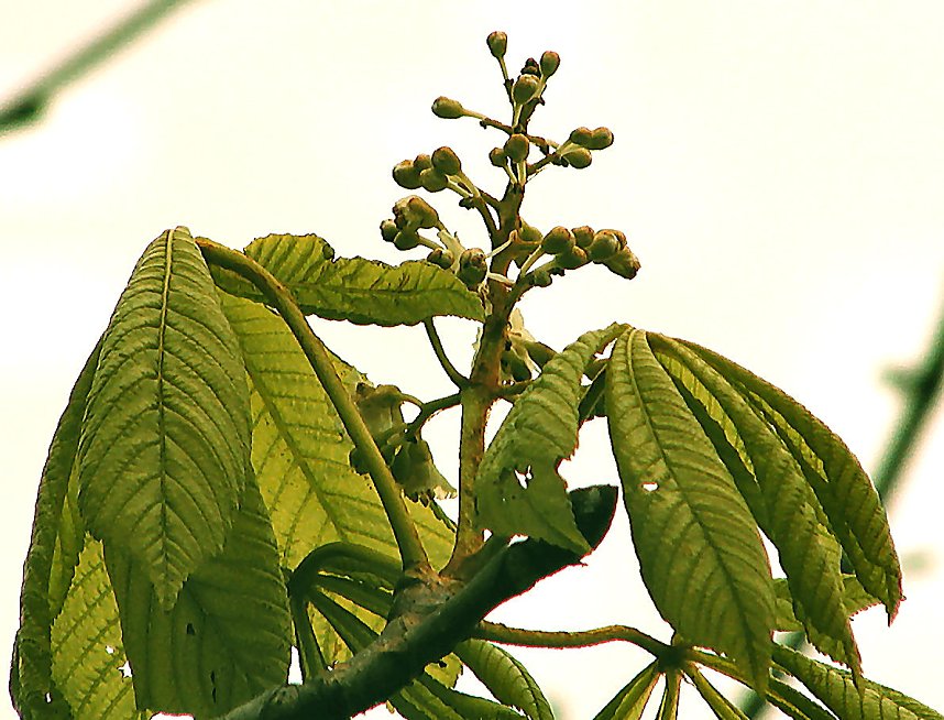 Fr&uuml;hling im Oktober