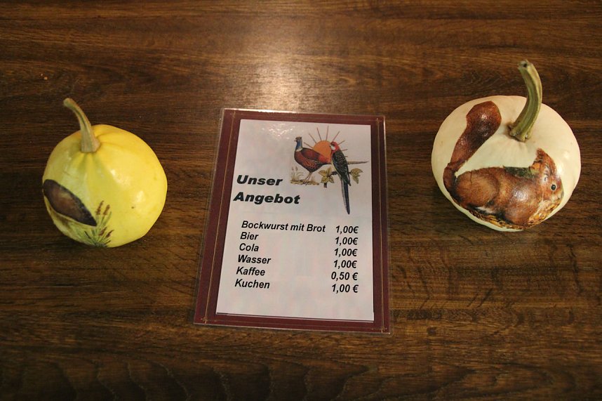 Gefiedertes in Sondershausen