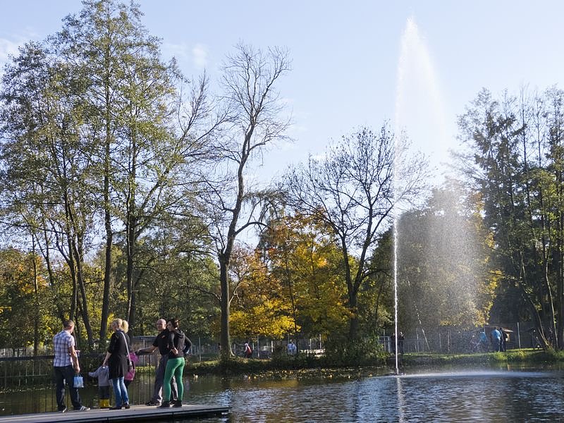 Goldener Herbst im Nordh&auml;user Stadtpark