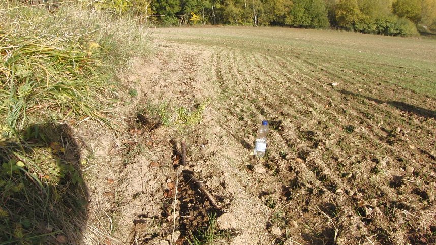 Fotografisches Zeugnis