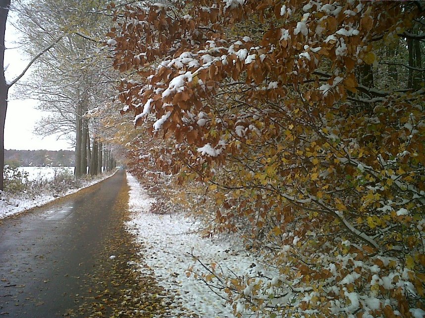 Herbst und Winter