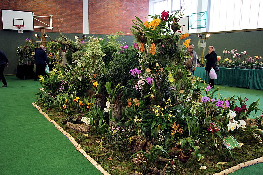 Orchideen in Nordhausen