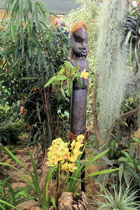 Orchideen in Nordhausen