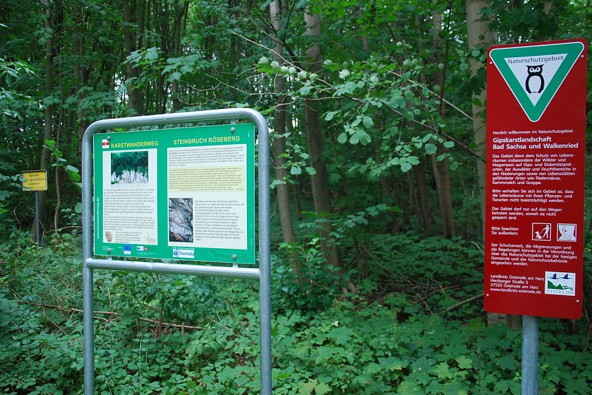 Abbau am gr&uuml;nen Band