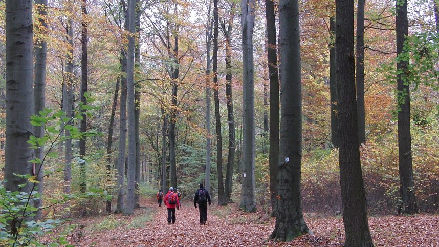 Von Nordhausen nach Halle
