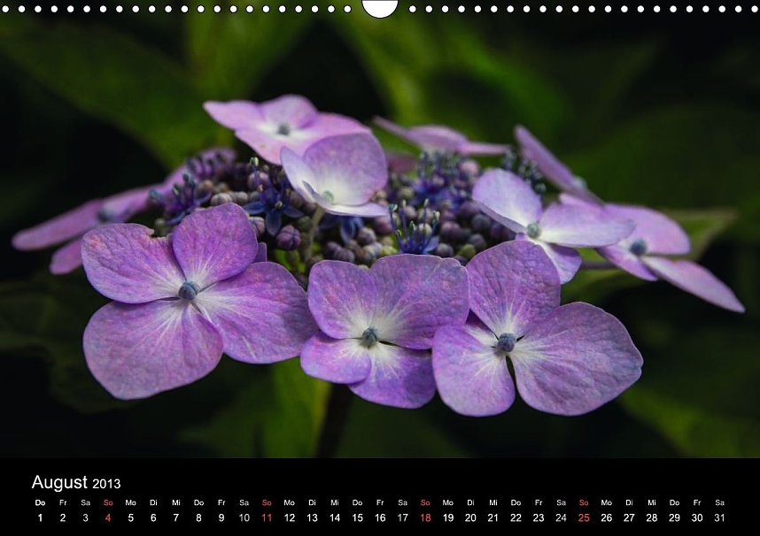 Der Harz zum Verschenken