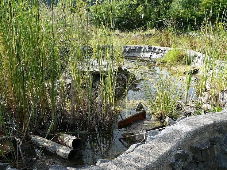 Hotel, Gastst&auml;tte oder Biotop?