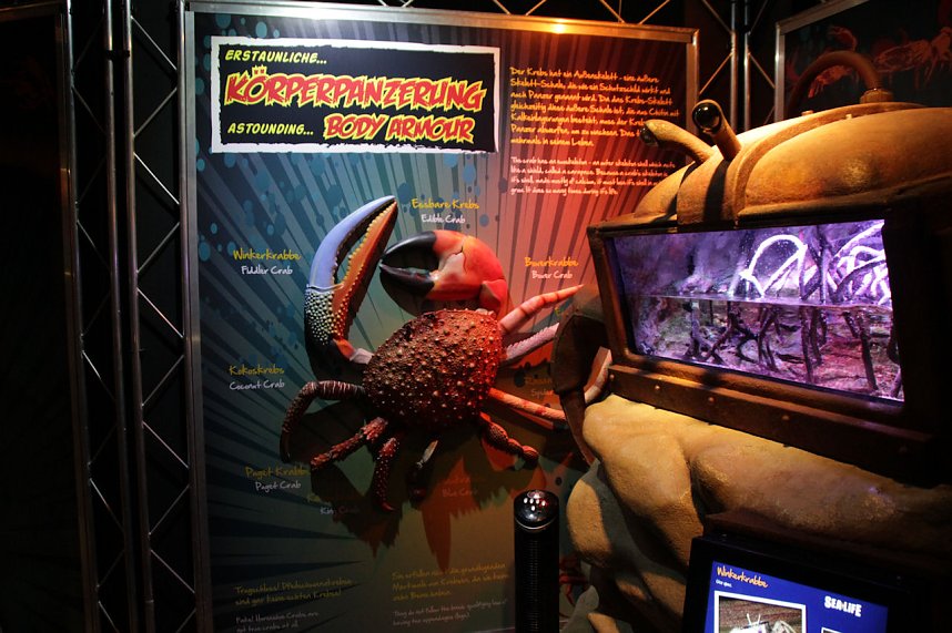 nnz-Leser in Berlin unterwegs: Aqua Dom und Sea Life