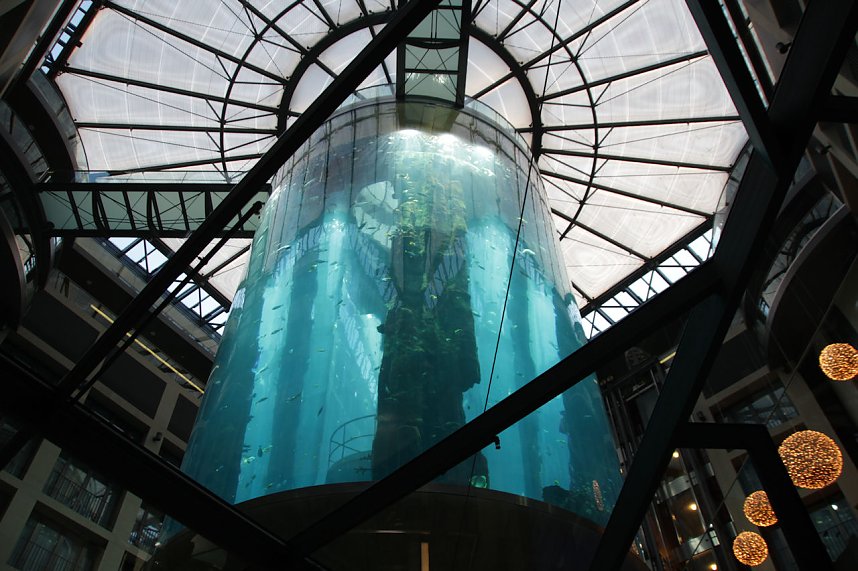 nnz-Leser in Berlin unterwegs: Aqua Dom und Sea Life