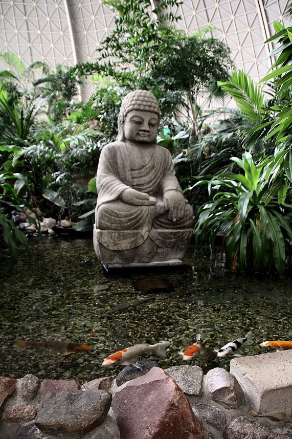 Tropischer Abstecher