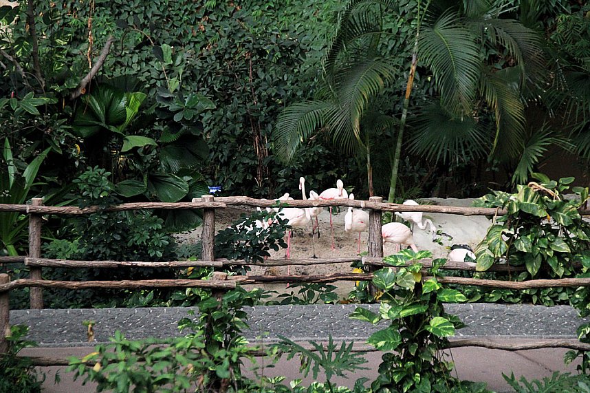 Tropischer Abstecher