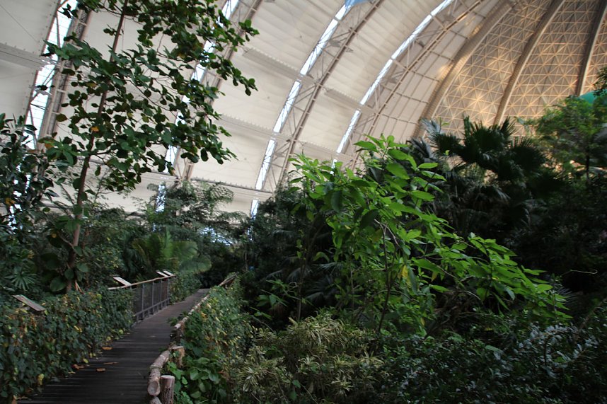 Tropischer Abstecher