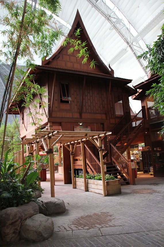 Tropischer Abstecher