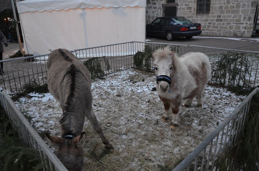 Handwerker & Adventsmarkt