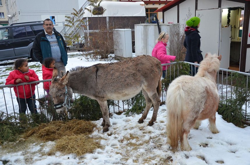 15.T&uuml;rchen am Theater