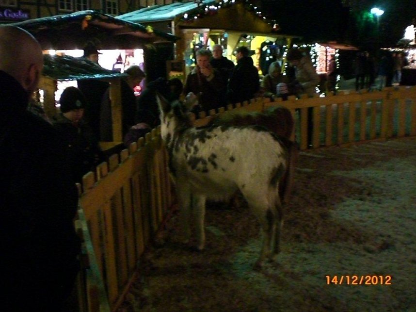 Weihnachtsmarkt in Goslar