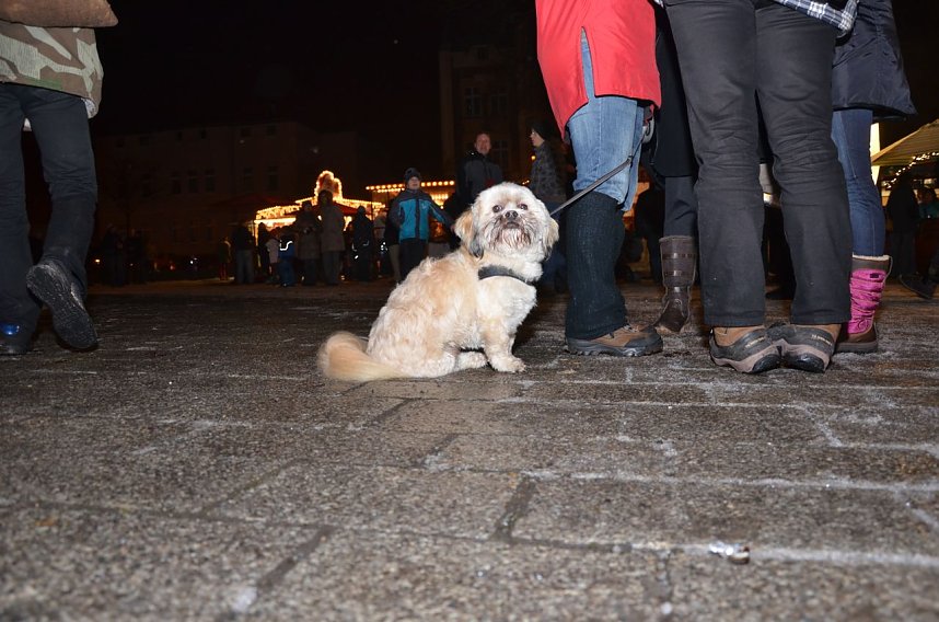 Adventsmarkt 22.T&uuml;rchen