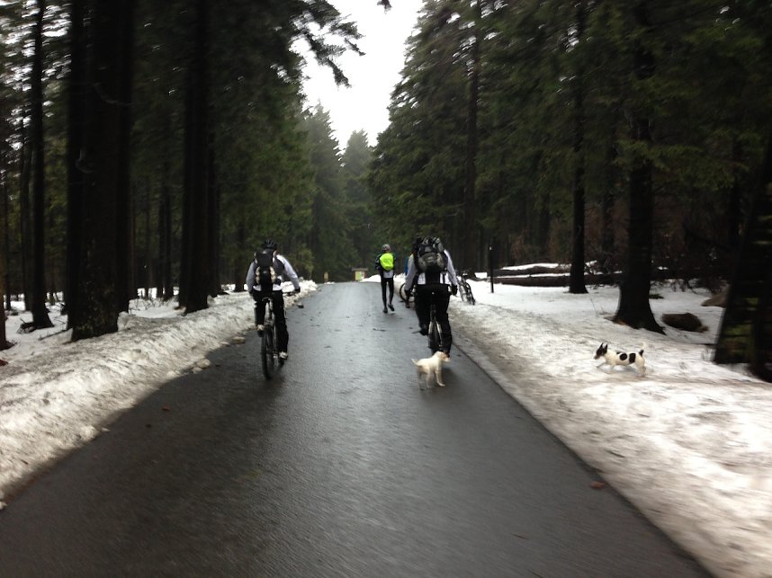 Heiligabend noch schnell auf den Brocken 2012