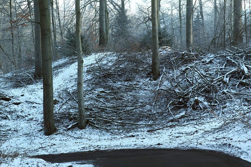 Kahlschlag im Gehege?