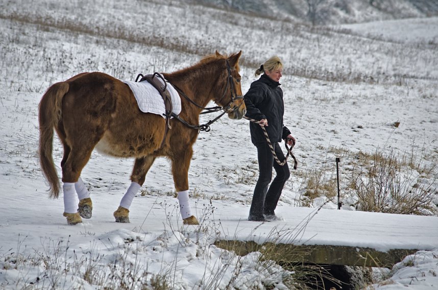 Reiten als Therapie