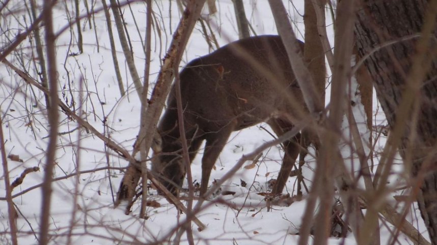 Natur pur vor eigenen Haus
