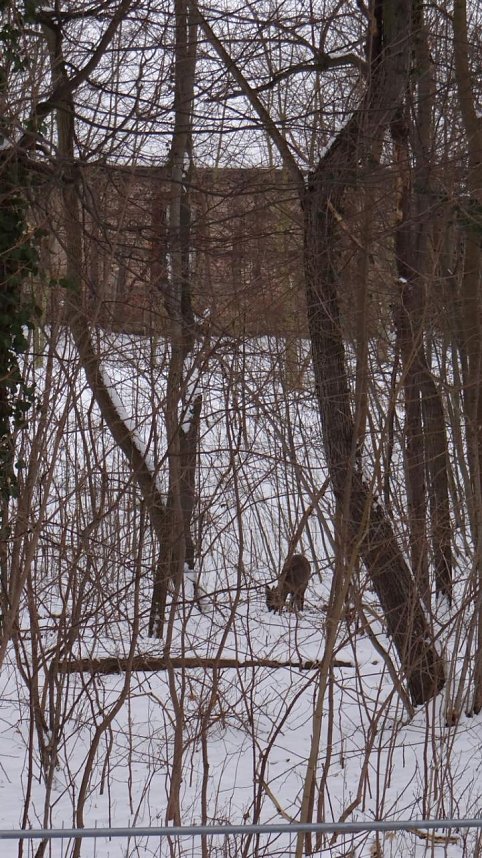 Natur pur vor eigenen Haus
