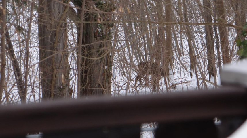 Natur pur vor eigenen Haus