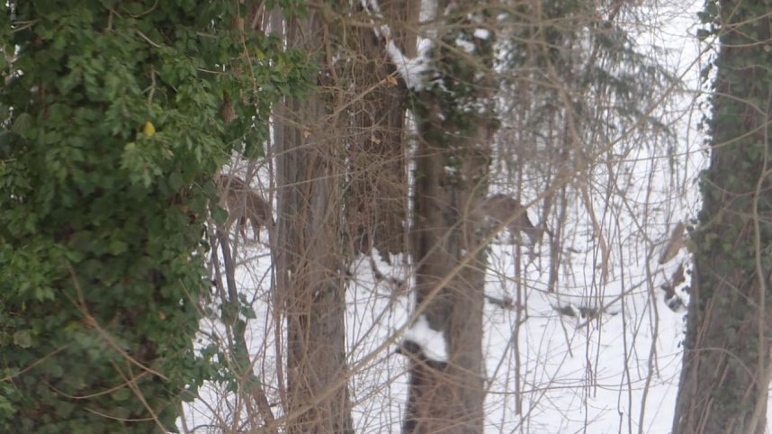 Natur pur vor eigenen Haus