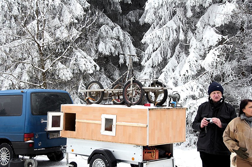 Schlittenhunderennen in Benneckenstein