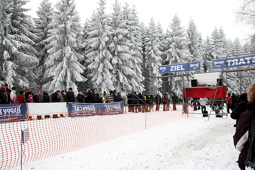 Schlittenhunderennen in Benneckenstein