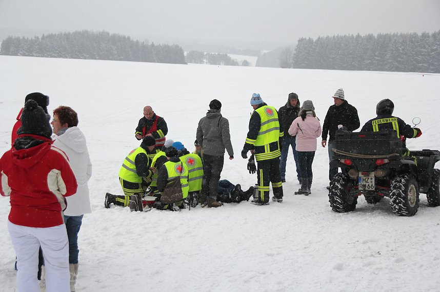 Schlittenhunderennen in Benneckenstein