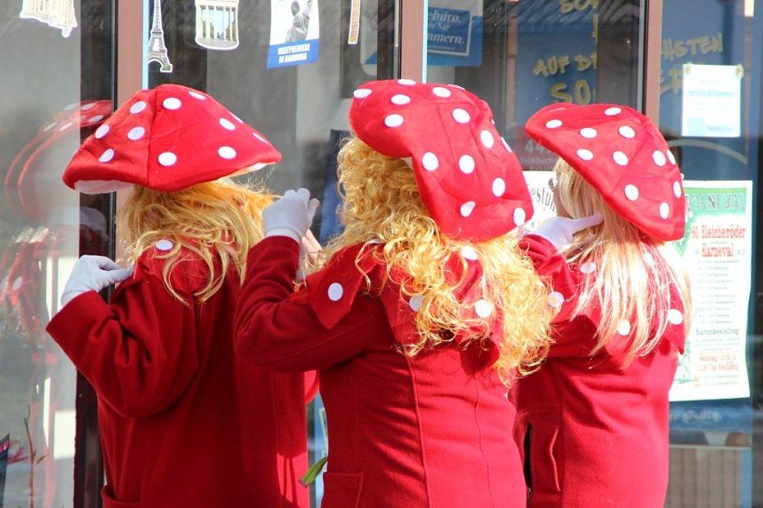 Umzug in Bleicherode