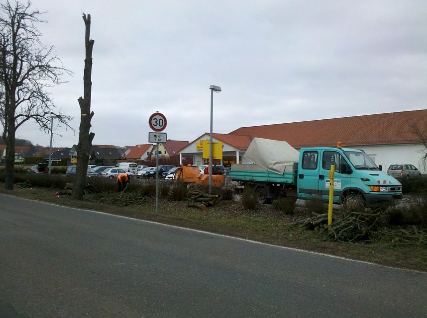 Gepflegte B&auml;ume