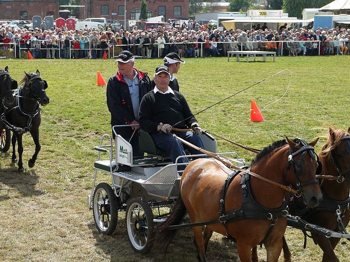 Giganten und anderes auf dem Scheunenhof